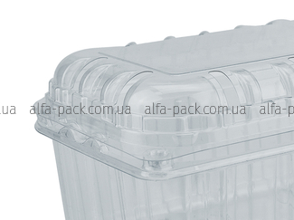 Berry container with lid