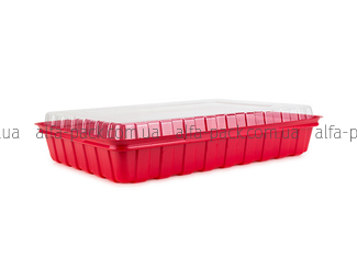 Sushi packaging box PS-61RB+61C