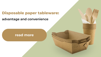 Disposable Paper Tableware: What Are Its Advantages and Convenience